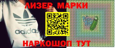 прущие грибы Обнинск