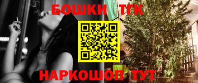 прущие грибы Обнинск