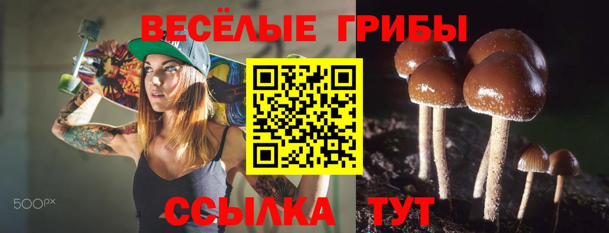 Псилоцибиновые грибы Magic Shrooms  Вход с VPN  Псилоцибиновые грибы мицелий  закладки  Ялта 